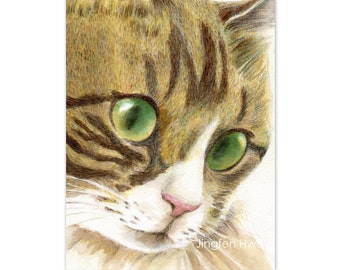 sleepy cat lover gifts cat art print grey cat drawing aqua colored pencil 6x8 print 8x3 print
