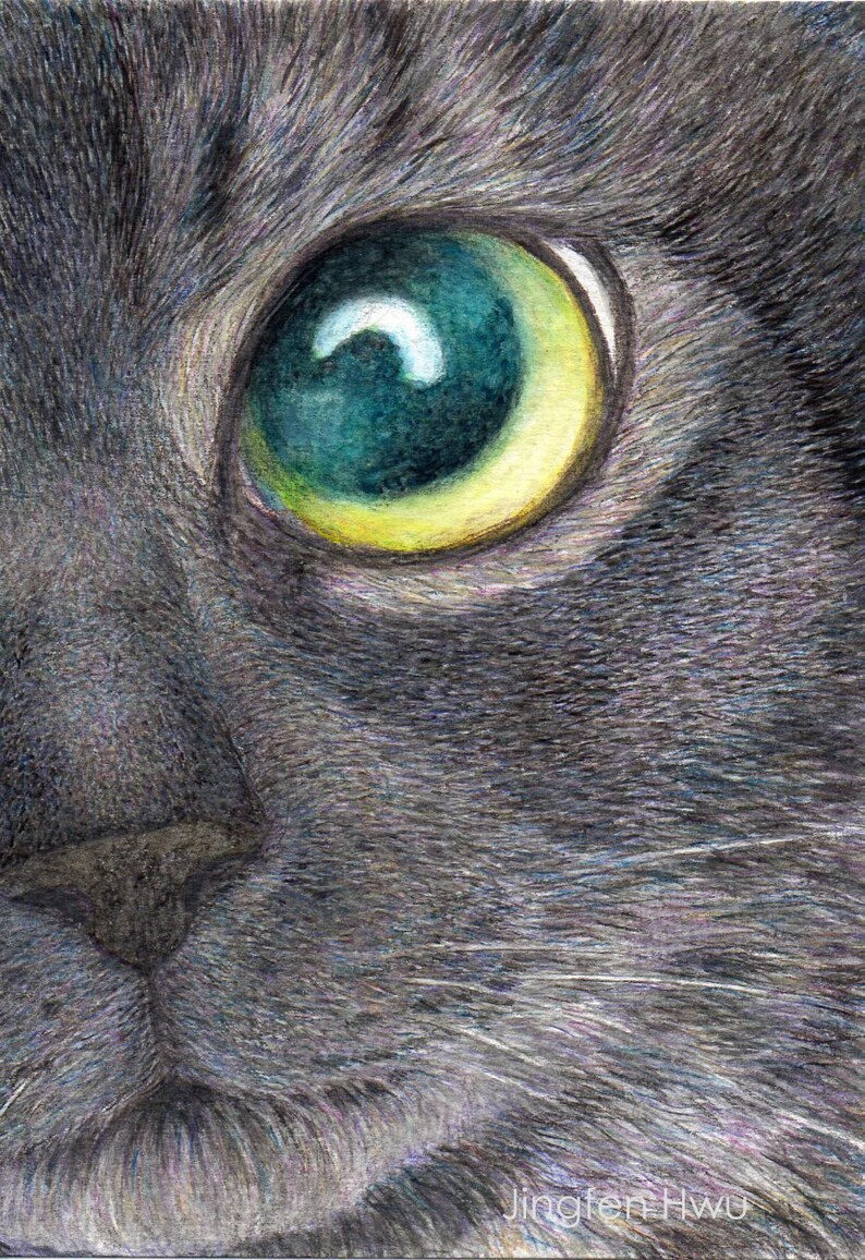 Cat art print A Black Cat Looking Up tabby cat drawing pet Etsy