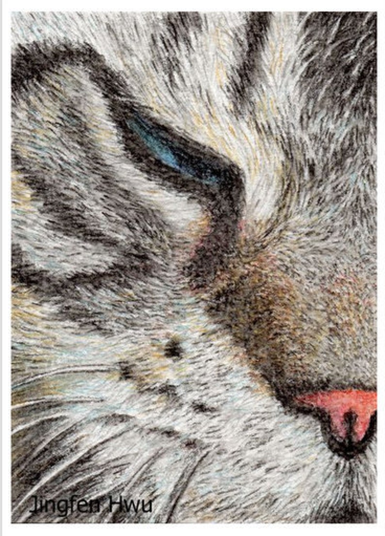 sleepy cat lover gifts cat art print grey cat drawing aqua colored pencil 6x8 print 8x3 print