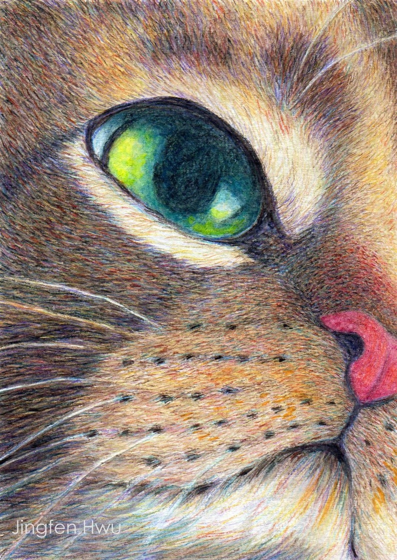 Cat art print Cat Looking Up tabby cat drawing pet Etsy