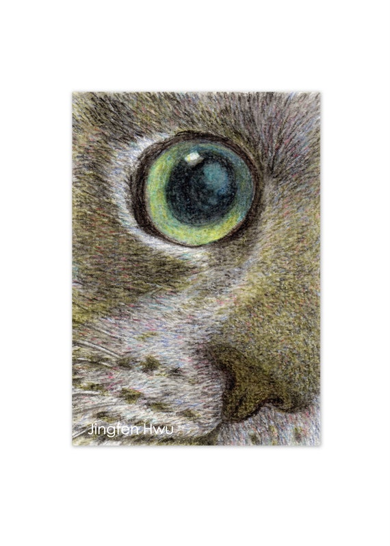 Impression Dart De Chat Du Dessin De Visage De Plan Rapproche Etsy