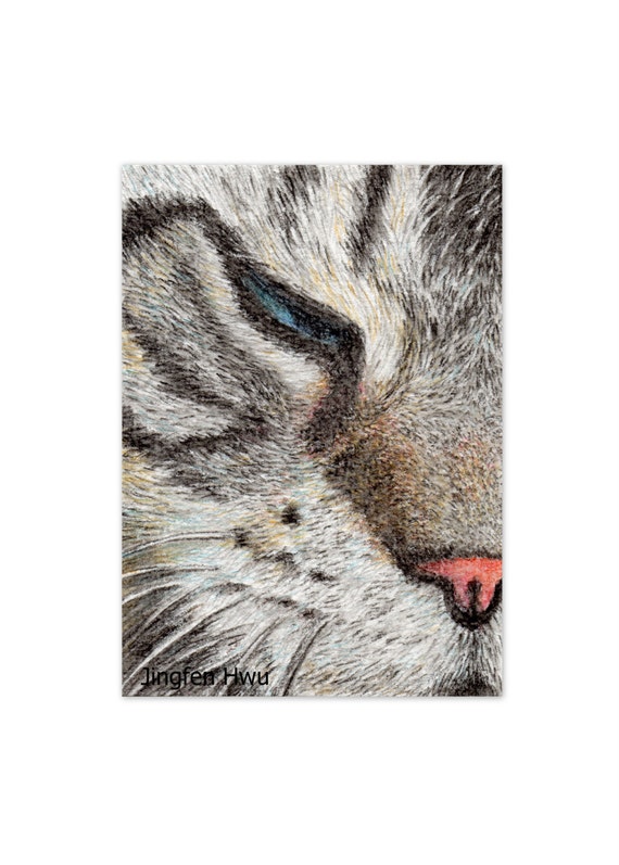 sleepy cat lover gifts cat art print grey cat drawing aqua colored pencil 6x8 print 8x3 print
