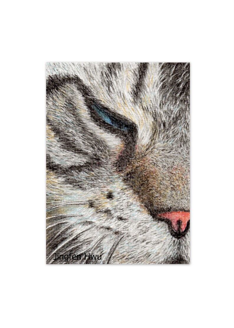 sleepy cat lover gifts cat art print grey cat drawing aqua colored pencil 6x8 print 8x3 print