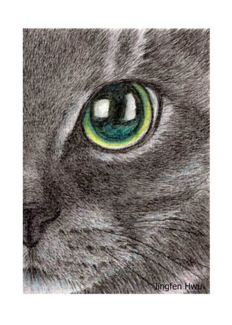 Cat Art Print Lifelike Realistic Cat Drawing Watercolor Pencil Commission Painting Cat Lover Gift Black Cat Face Colored Pencil Art & Collectibles Sibawor.id
