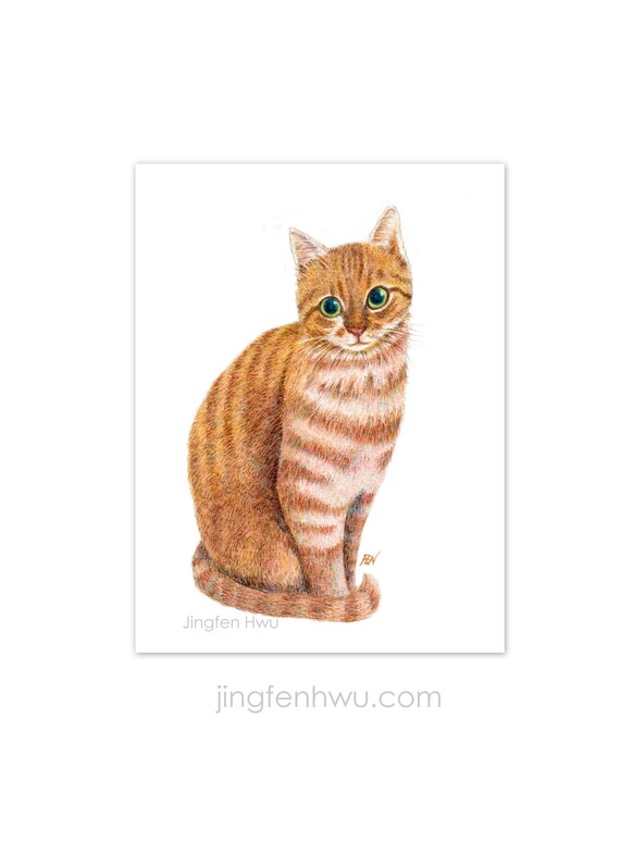 sleepy cat lover gifts cat art print grey cat drawing aqua colored pencil 6x8 print 8x3 print