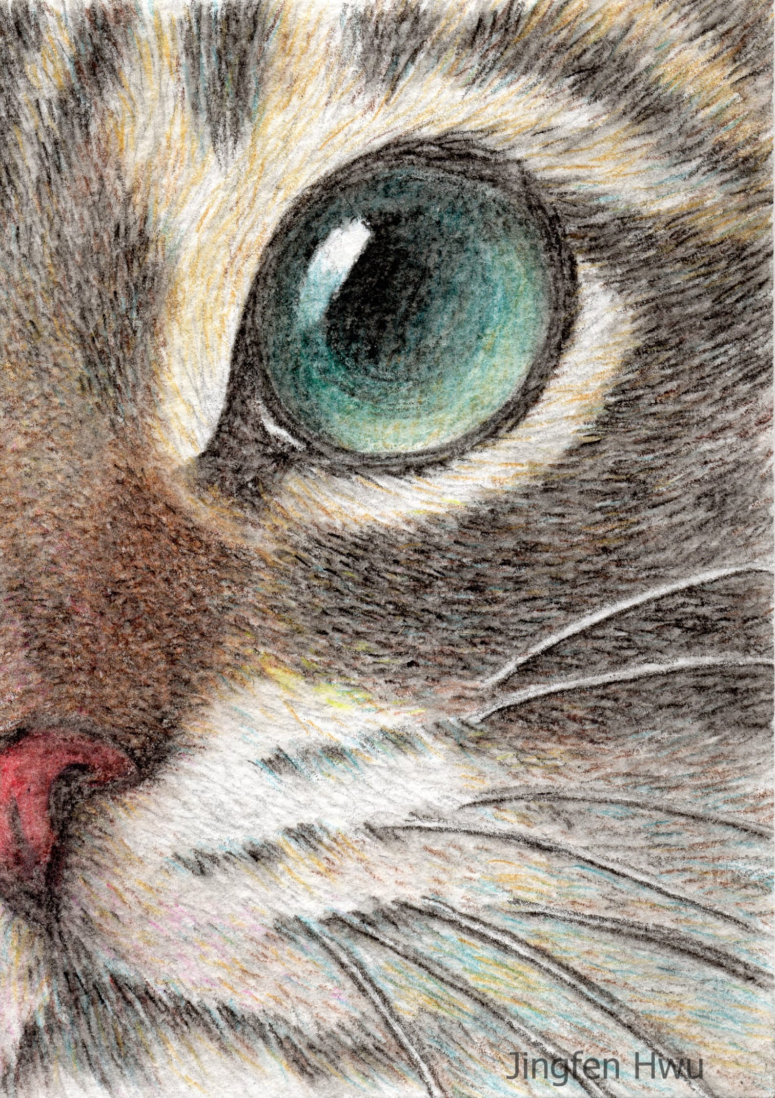 Cat art print cat face drawing art print the innocent cat | Etsy