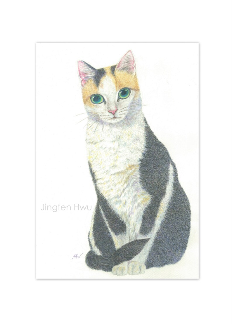 Cat art print A Calico Cat watercolor pencil drawing cat | Etsy