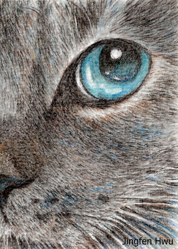 sleepy cat lover gifts cat art print grey cat drawing aqua colored pencil 6x8 print 8x3 print