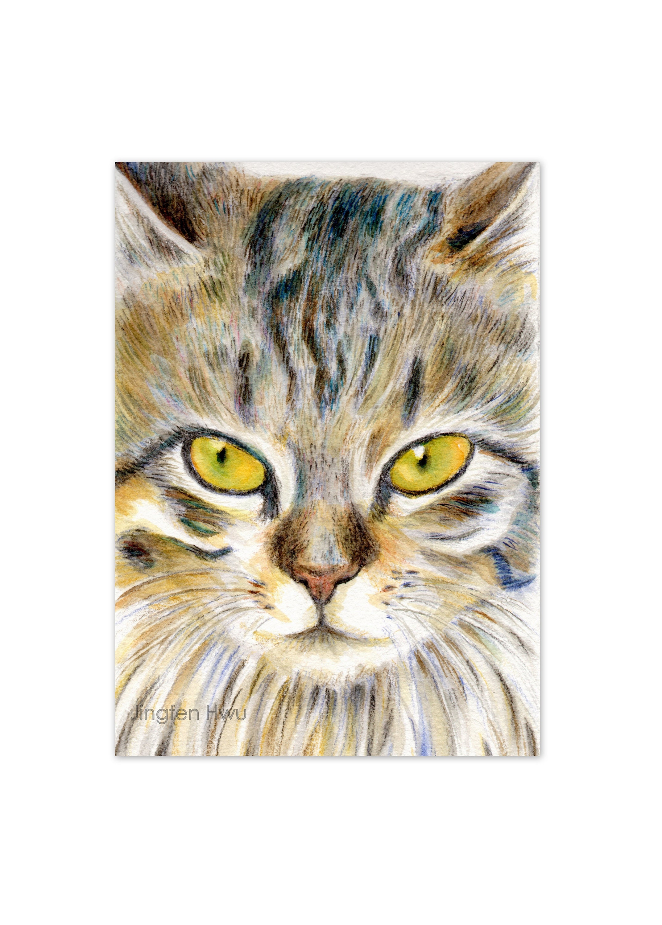 Cat Art Print Watercolor Pencil Drawing The Cat Small Wall | Etsy