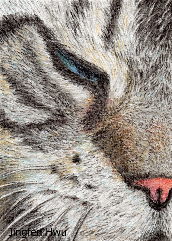 sleepy cat lover gifts cat art print grey cat drawing aqua colored pencil 6x8 print 8x3 print