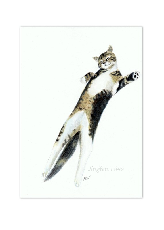sleepy cat lover gifts cat art print grey cat drawing aqua colored pencil 6x8 print 8x3 print