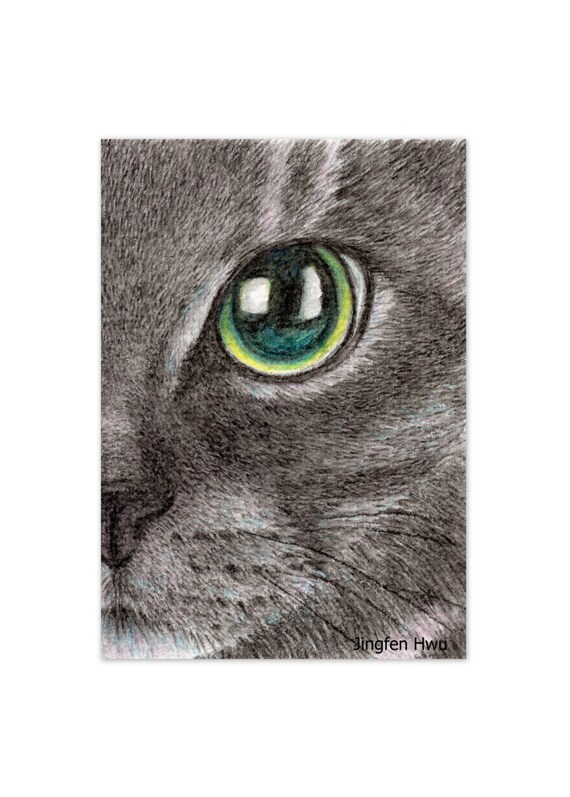 Dessin Realiste Realiste De Chat Crayon Daquarelle Visage Etsy