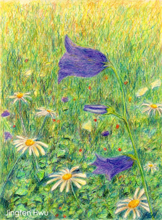 Fleur Sauvage Dessin Marguerite Art Marguerites Blanches Et Fleurs Mauves Peinture De Fleurs Dessin Naturel A3 Impression A4 8 X 3