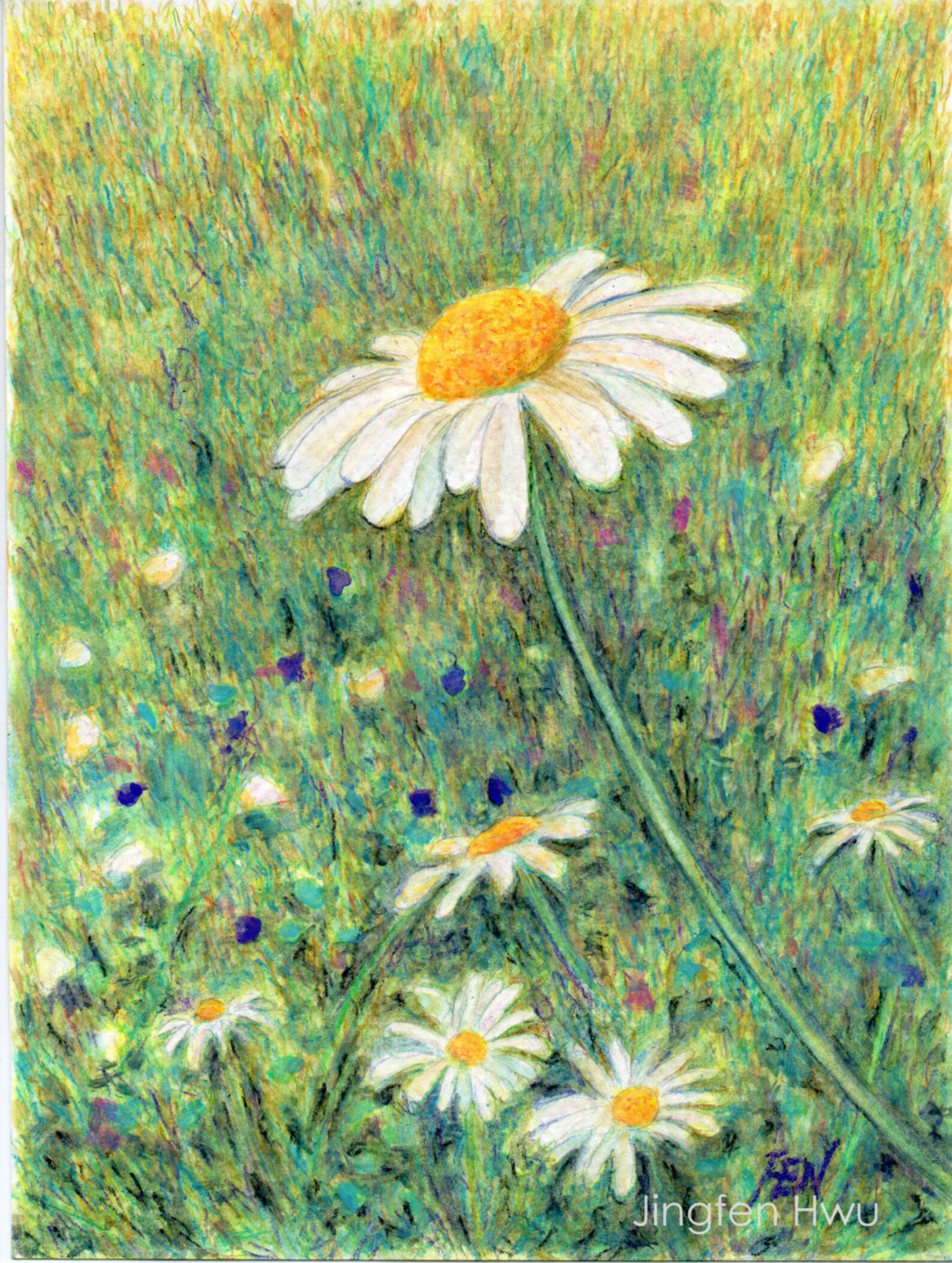 Wild flower drawing daisy art white daisies and wild Etsy