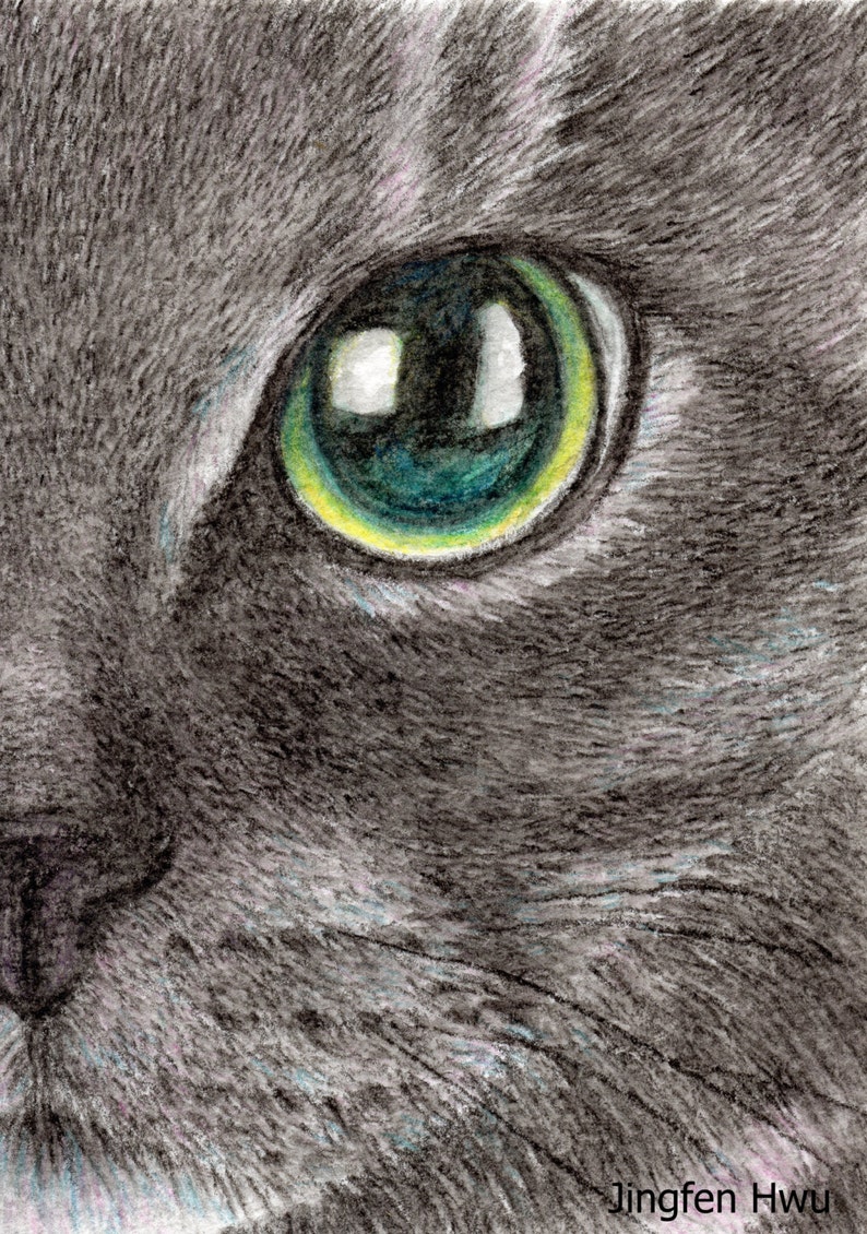 Cat Art Print Lifelike Realistic Cat Drawing Watercolor Pencil Commission Painting Cat Lover Gift Black Cat Face Colored Pencil Art & Collectibles Sibawor.id