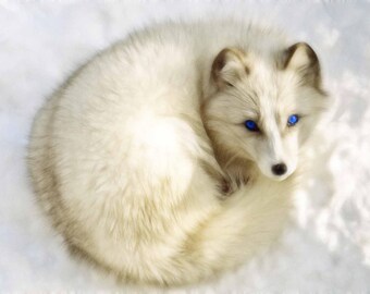 Arctic Fox Spirit Medicine Bundle - Animal Totem, Altar, Spiritual Gift, Native American Gift, Medicine Pouch, Medicine Bag, Ceremonial, Fox