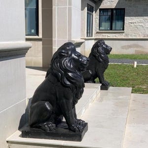 Peut inclure: Deux statues de lions noirs avec des crinières détaillées, assises sur un ensemble de marches en pierre devant un bâtiment.