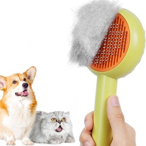 May include: A light green pet grooming brush with orange bristles, covered in collected pet hair. A corgi and a Persian cat are in the background.