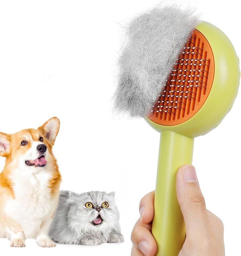 May include: A light green pet grooming brush with orange bristles, covered in collected pet hair. A corgi and a Persian cat are in the background.