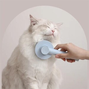 May include: A light blue cat brush being used on a fluffy white cat. The brush has a circular head and a handle. The cat is enjoying the grooming session. The background is a soft, neutral color.