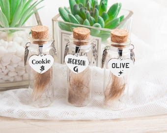 Personalisierte Haustierfell-Gedenkglas, Edelstahl-Charme, Verlust des Haustiergeschenks