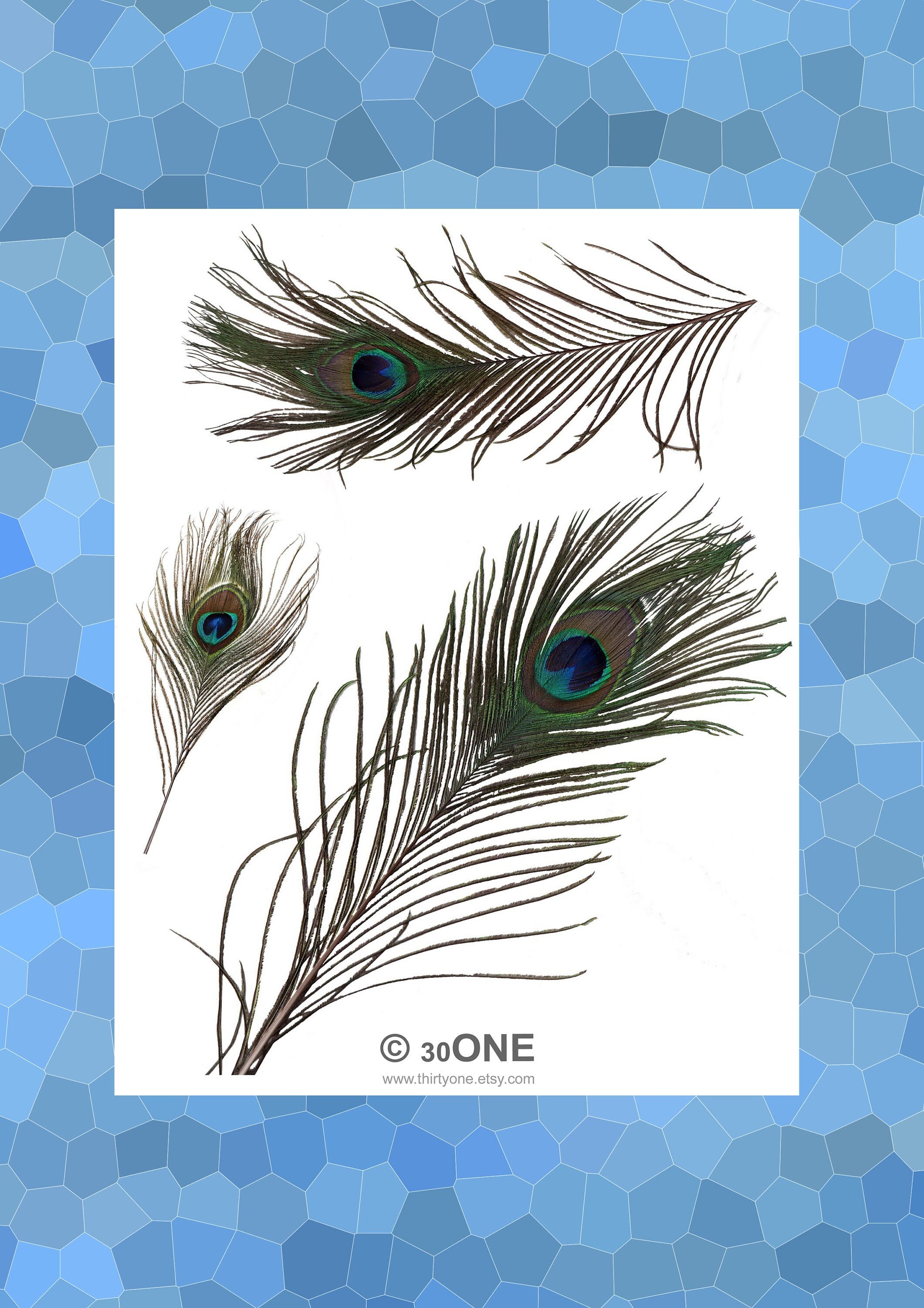 Printable Peacock Feather A4 Digital Collage Sheet For | Etsy