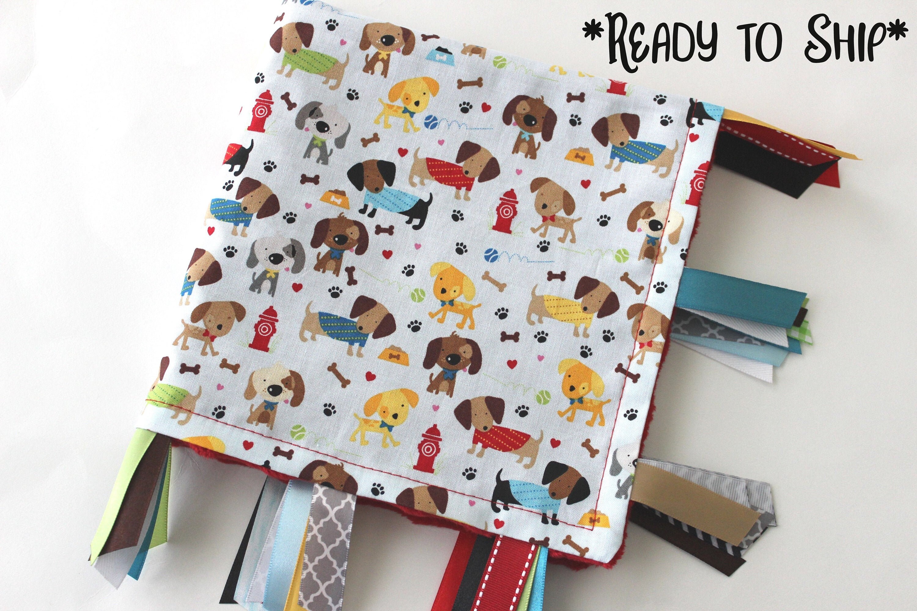taggie puppy