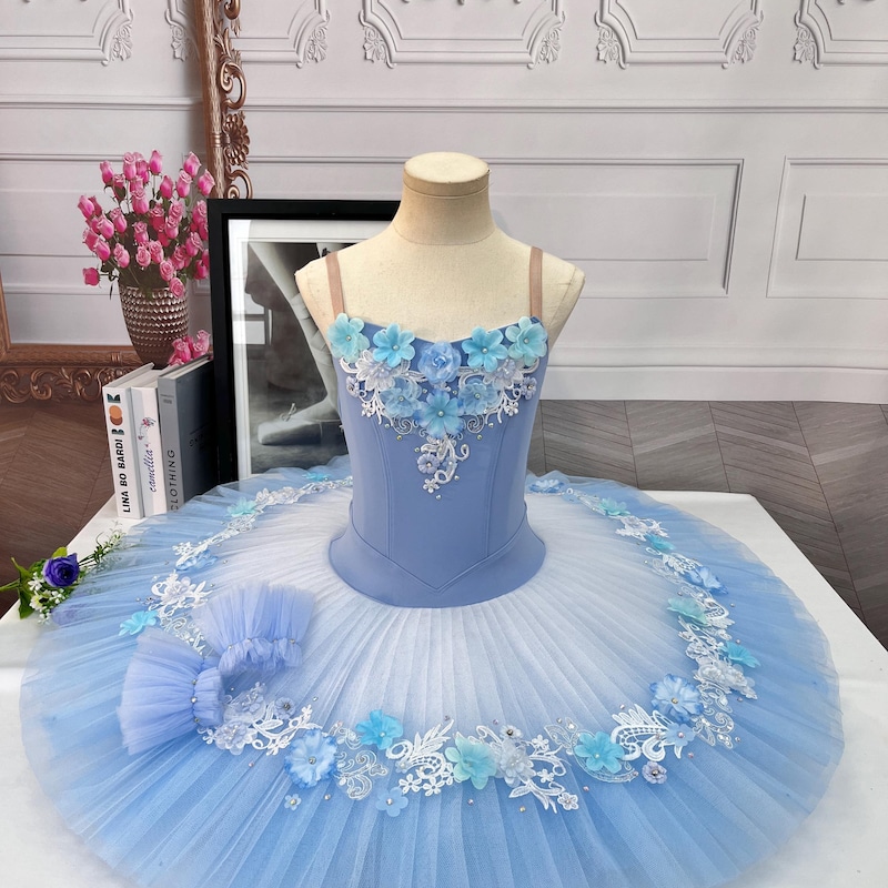 Swan Lake Dress - Etsy