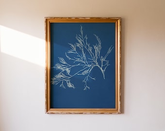 Vintage Seaweed Print | Coastal Botanical Wall Art | Natural History Decor (Digital Download)