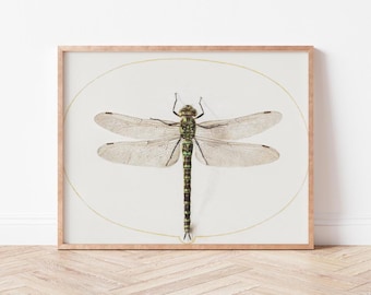 Dipinto ad impasto con libellula: decorazione murale per vivaio botanico, 8x8 - Italia