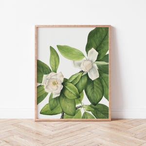 Vintage Botanical Flower Art | PRINTABLE Wall Art | Flower Art | Vintage Art Prints | Digital Download | Wild Violets Art Prints | MW0003