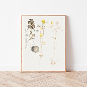Vintage Yellow Flower Art Print | PRINTABLE Digital Wall Art | Cottagecore Home Decor | Antique Flower | Wild Violets Art Prints | BO0036