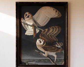 Vintage Owl Print | Gothic Academia Wall Art | Halloween Decor (Printable Art)
