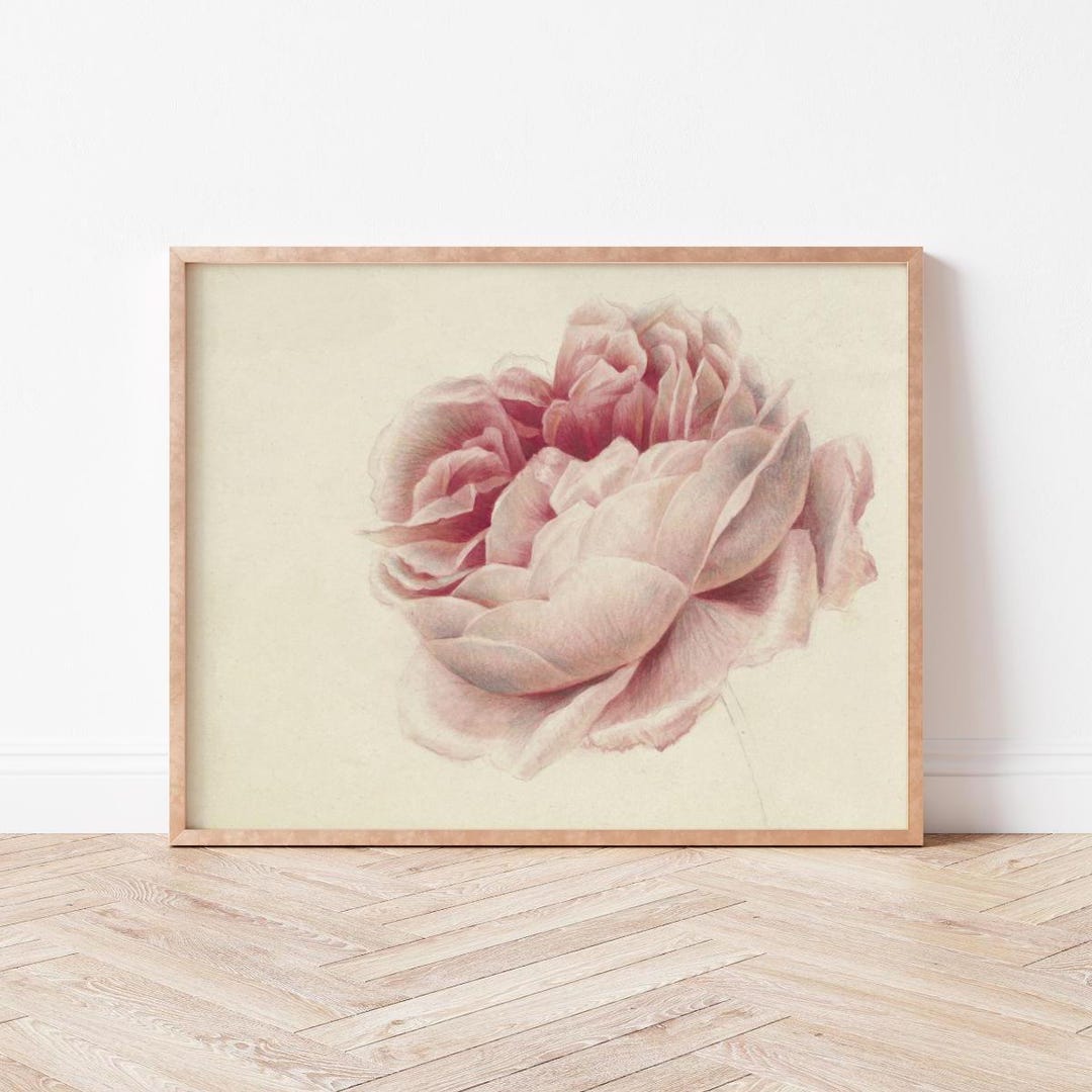 Vintage Pink Rose Print | Cottagecore Floral Wall Art (digital Download ...