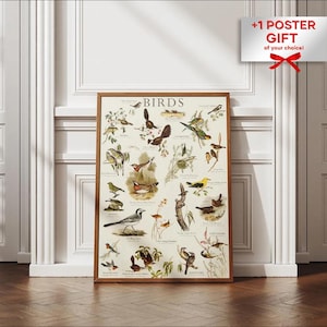 Vintage Birds Digital Print, Antique Bird Wall Decor Poster, Educational Poster Forest Birds, Animal Poster Art, Adolphe Millot Printable