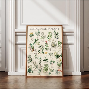 Vintage medizinische botanische hochwertige Galeriewand Digitaldruck