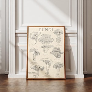 Vintage Mushroom Botanical Digital Print, Fungi Wall Decor For Kitchen, Mushroom Science Antique Fungi Botanical , Adolphe Millot Champignon
