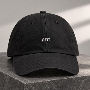 Könnte beinhalten: Eine schwarze Baseballkappe mit einer Sechs-Panel-Konstruktion, einem Knopf an der Oberseite und einem gebogenen Schirm. Das Wort ant ist in kleinen, weißen, serifenbetonten Kleinbuchstaben mittig auf den vorderen zwei Paneelen gestickt.
