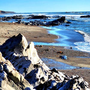 Central Coast Shoreline Low Tide View