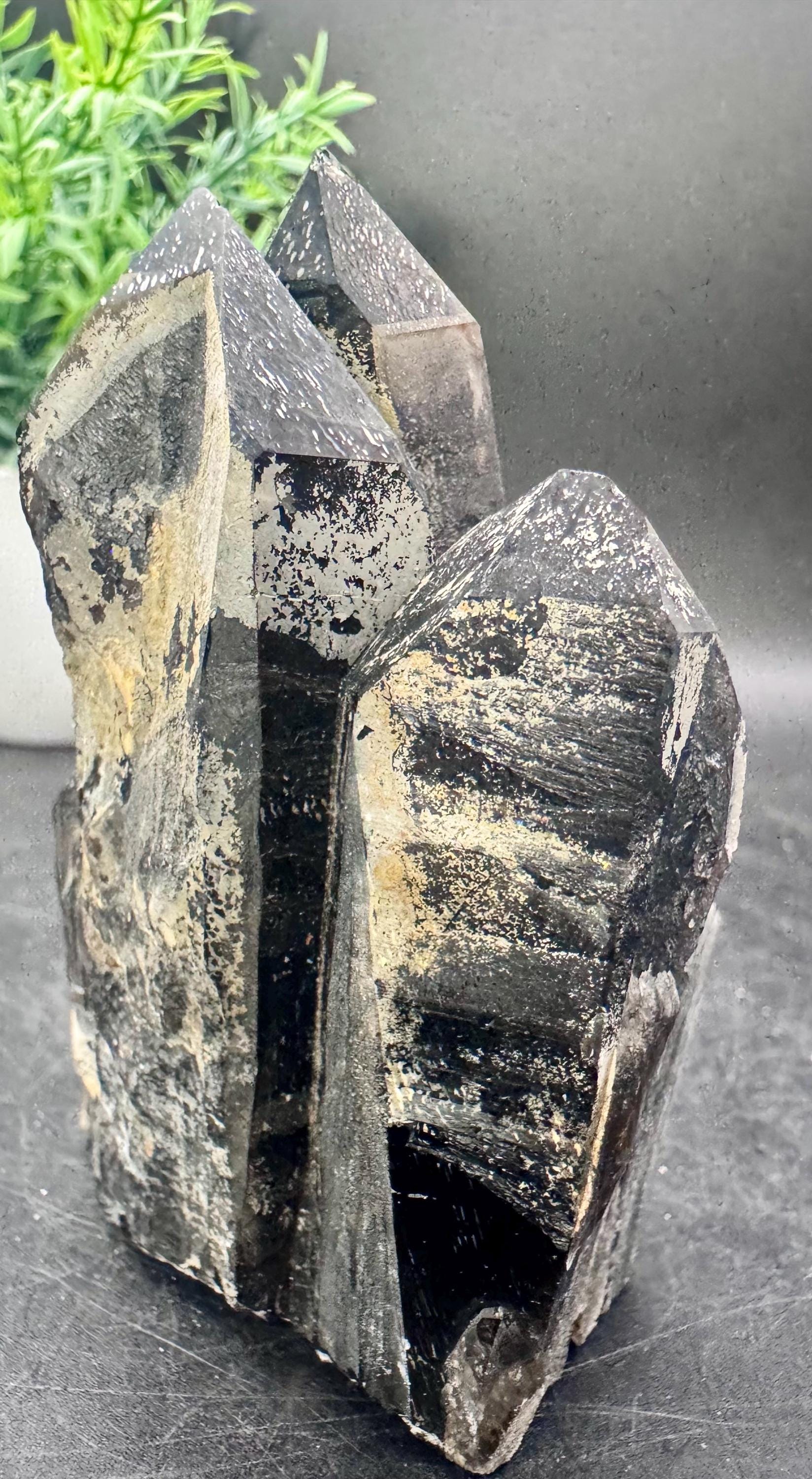 天然水晶 希少スモーキークォーツ ウクライナ産 モリオンポイント/原石