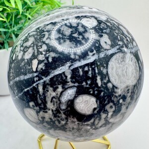 Natural Crystal Large Fossil Jasper Sphere 2.8” diameter, 504.7 grams