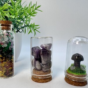 Natural Crystal In A Bottle ( mushroom dragon stone, assorted Chips, amethyst Chips)