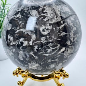 Natural Crystal Large Fossil Jasper Sphere 3.6” diameter, 1.1kg