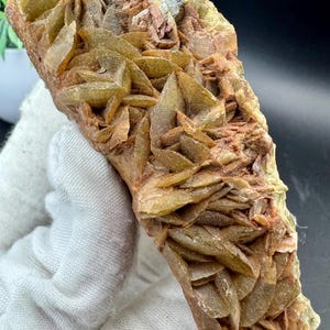 May include: A natural mineral specimen featuring a cluster of light brown, layered crystals. The crystals have a slightly translucent appearance and are arranged in a rosette-like pattern. The base rock is a reddish-brown color.