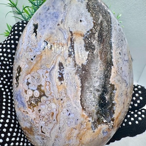 May include: A large, oval-shaped agate geode with a variety of colors, including white, brown, and black. The geode has a smooth, polished surface and intricate patterns.