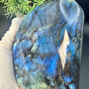 Natural Crystal Stunning Large Labradorite fancy freeform shape with blue colored flash 1275 grams(2.8lbs)  5”x4.6”x1.8”,