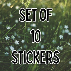Set of 10 stickers, choose your own sticker pack, sticker bundle, laptop stickers, water bottle stickers, kindle stickers