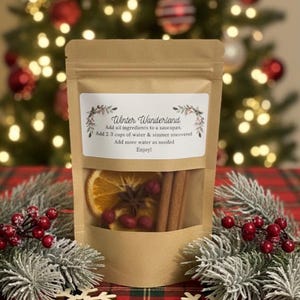 Christmas Simmer Pot Kit: Stovetop Potpourri Gift afbeelding 7