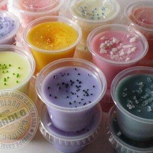 6 - BUTTERMILK PANCAKES Soy Wax Tart Littles