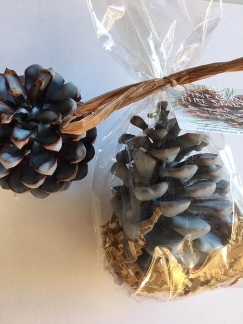 FIRE STARTERS Hand Dipped Pine Cone Great for Fireplace Etsy